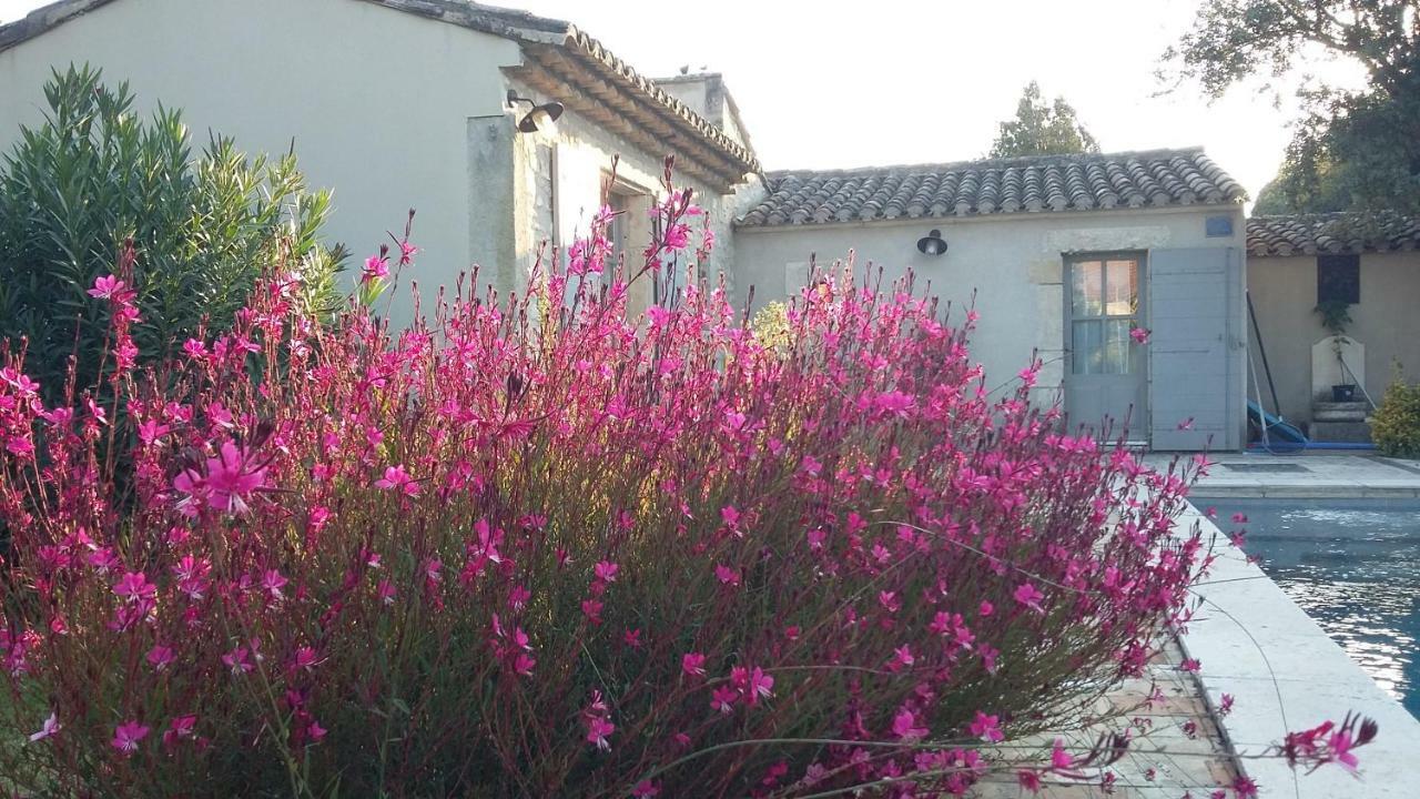 Le Mazet Villa Cabannes Exteriör bild